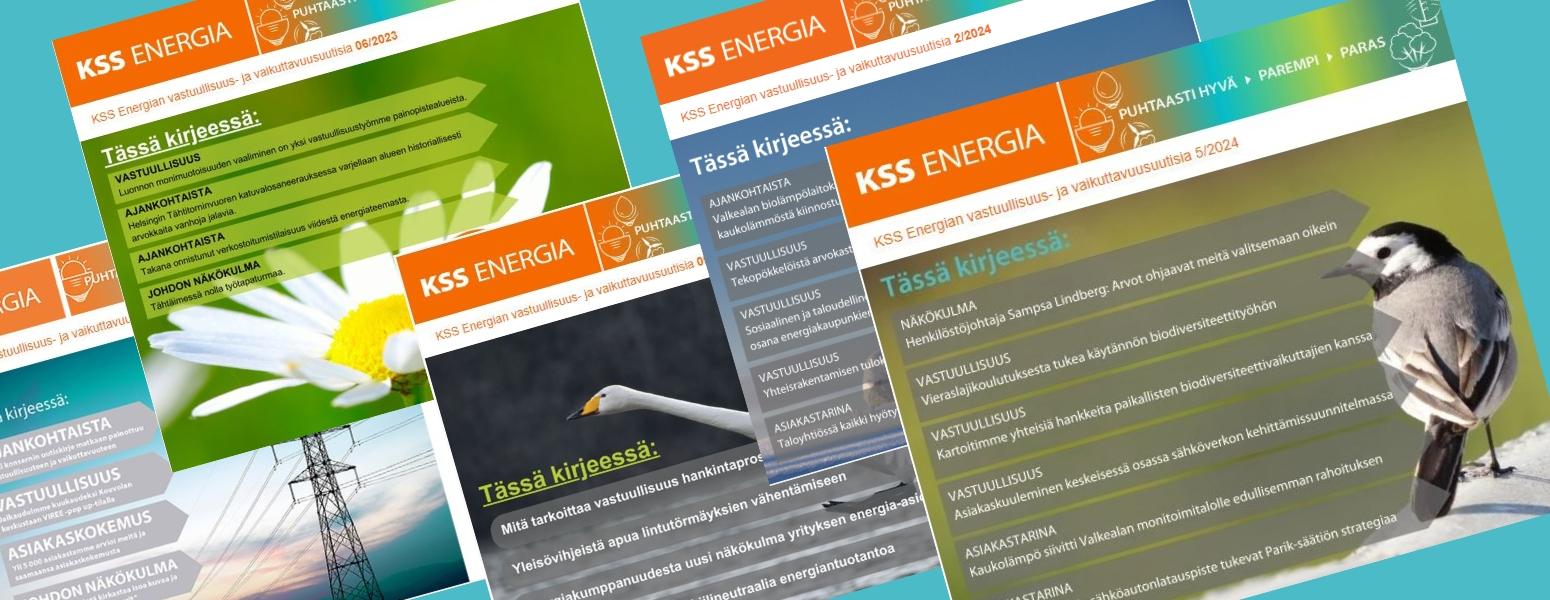 Limittäin kirjeiden kansilehtiä, joissa luontoaiheisia kuvia ja kirjeen sisältöä kuvaavia otsikoita.