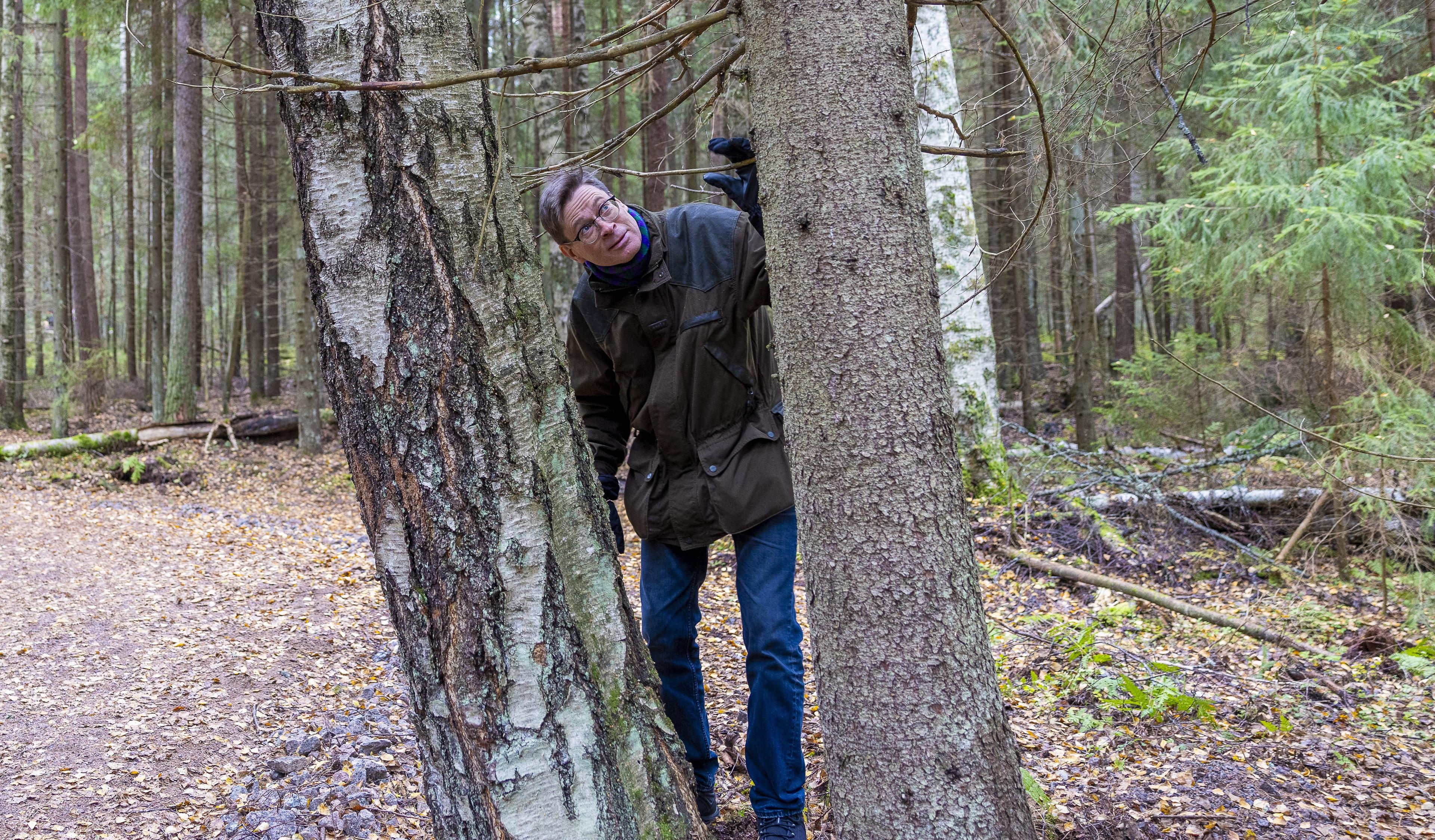 Kuvan keskellä kasvaa kaksi suurta puuta, joiden välistä kurkistaa ruskeavihreään takkiin ja sinisiin farkkuihin pukeutunut silmälasipäinen mies. Kuva on otettu keskellä metsämaisemaa, taustalla näkyy puita sekä metsätie.