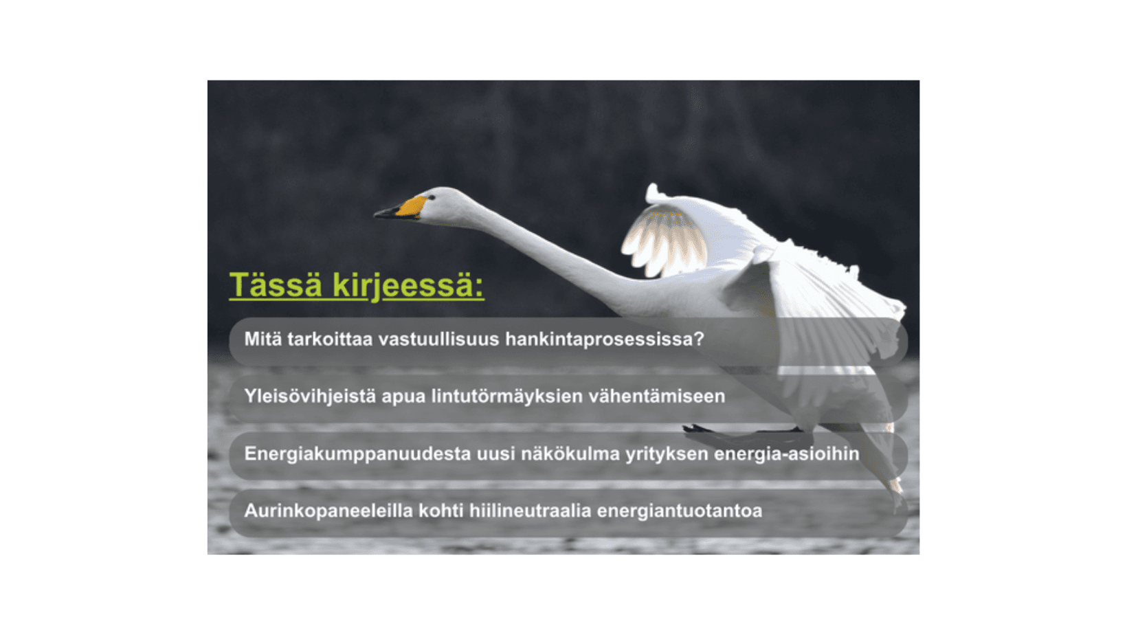 Joutsen lentää harmaalla taivaalla. Kuvan päällä vastuullisuuskirjeen sisältöä kuvailevat tekstit: Mitä tarkoittaa vastuullisuus hankintaprosessissa? Yleisövihjeistä apua lintutörmäyksien vähentämiseen. Energiakumppanuudesta uusi näkökulma yrityksen energia-asioihin. Aurinkopaneeleilla kohti hiilineutraalia energiantuotantoa.