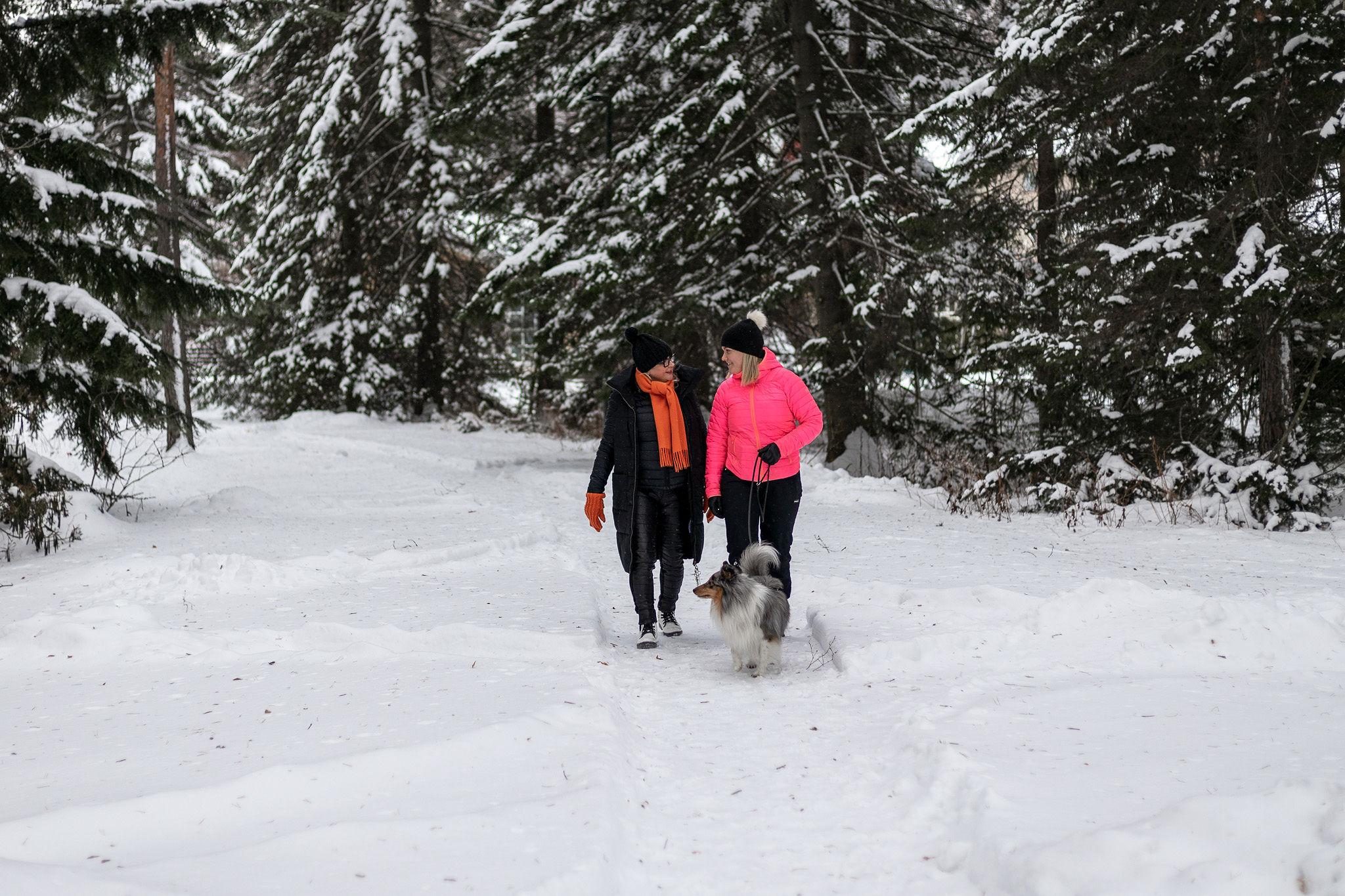 Kaksi henkilöä kävelee rinnakkain talviseen metsämaisemaan tehdyllä ulkoilupolulla ja kävelyttää koiraa.