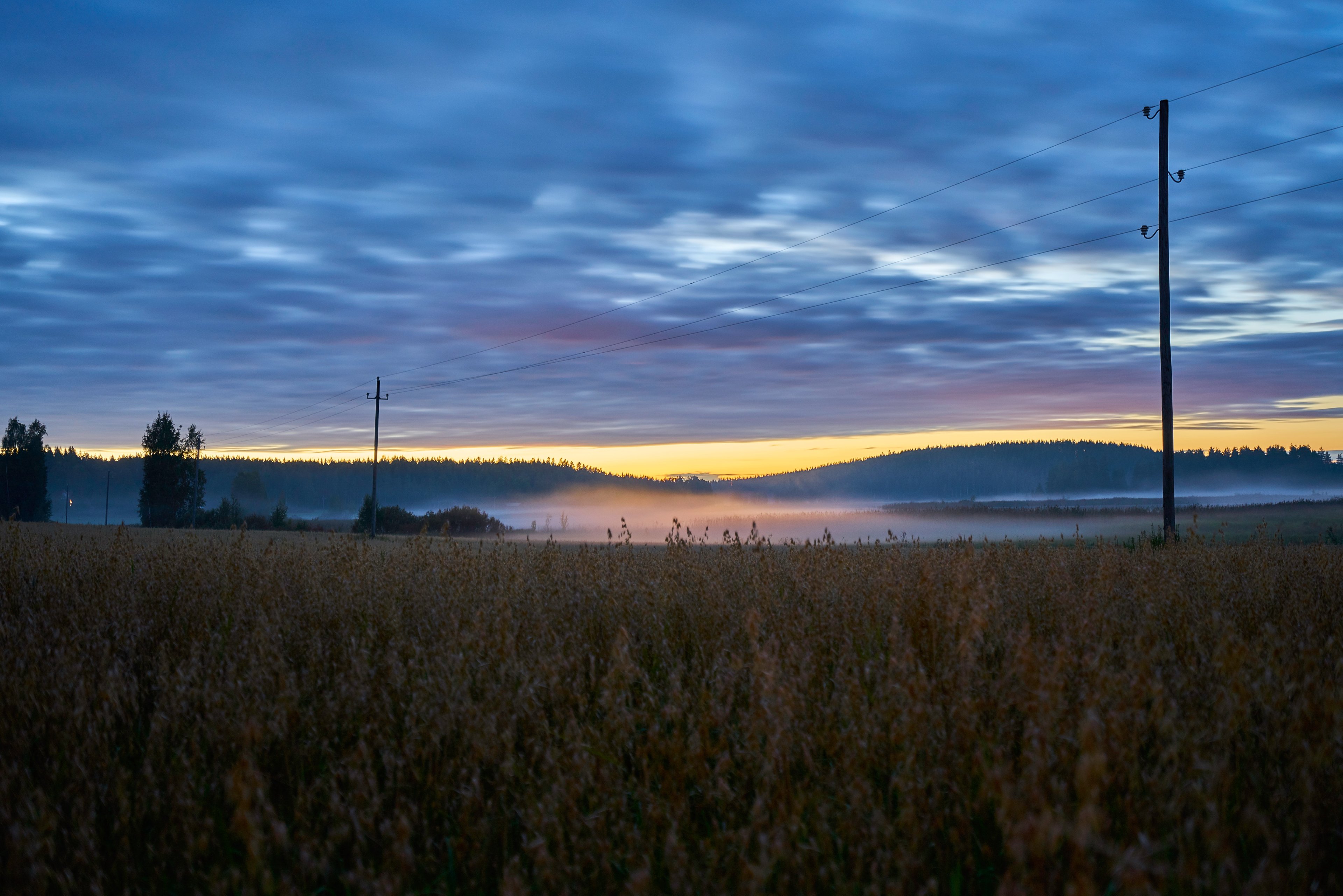 Sähkölinjaa peltomaisemassa usvaisessa auringonlaskussa.