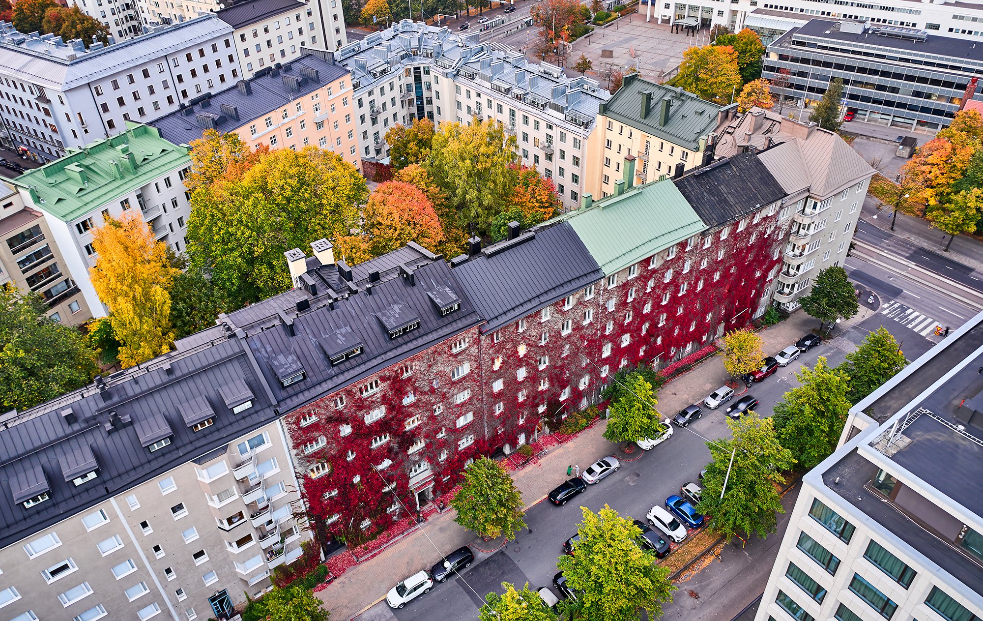 Ilmakuva Helsingin kaupungista, jossa näkyy eri värisiä kerrostaloja ja autoja sekä katuja. Kadut ova reunustettu vihreälehtisillä puilla ja osa talojen pihalla olevista puista ovat syksyn väreissä. Kuvan keskellä olevan talon seinustalla kasvaa tummanpunaisen värinen villiviini köynnös.